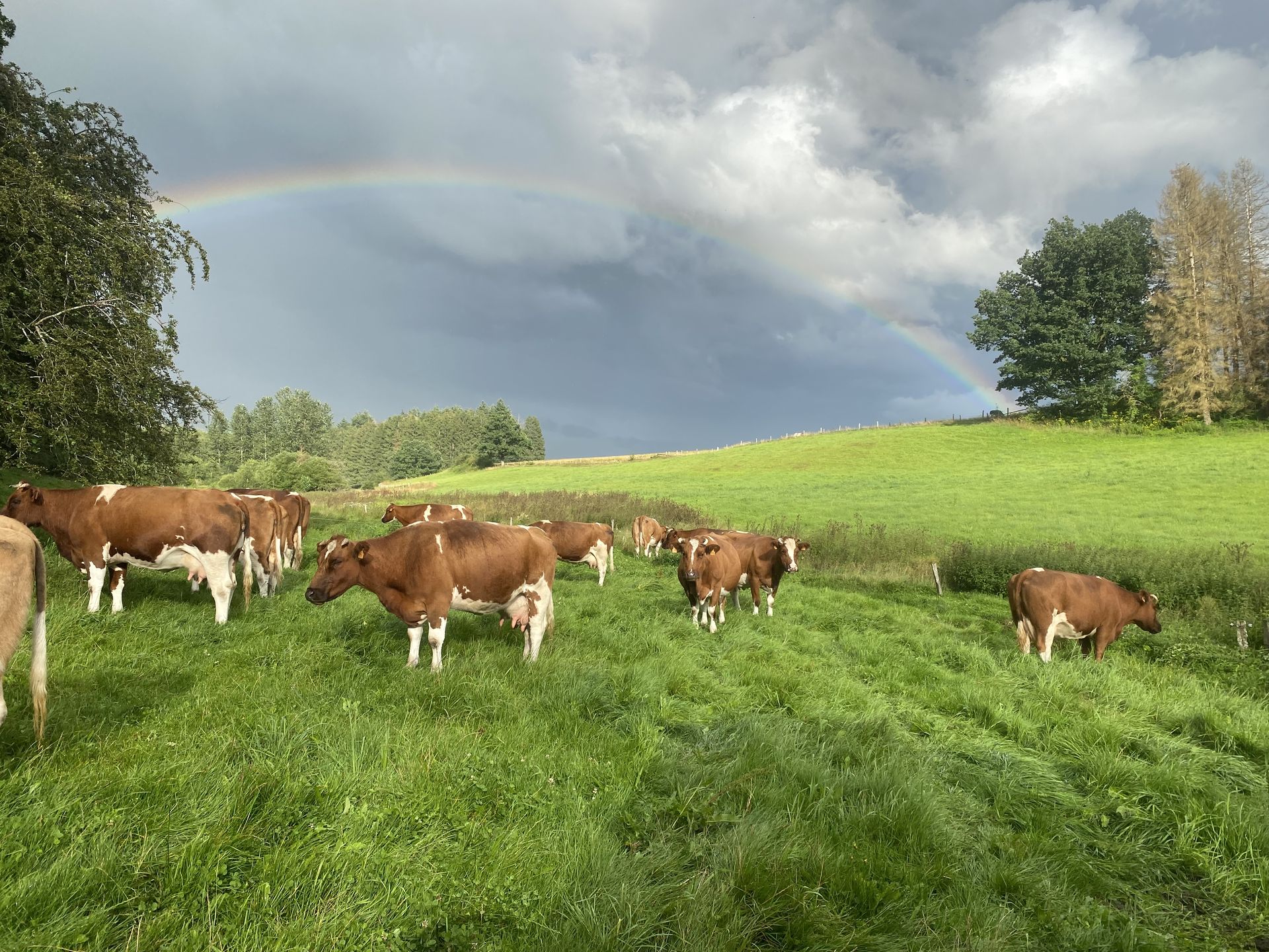 Ferme Ponts du Ciel Ferme Keirse Ferme Sainte-Ode
