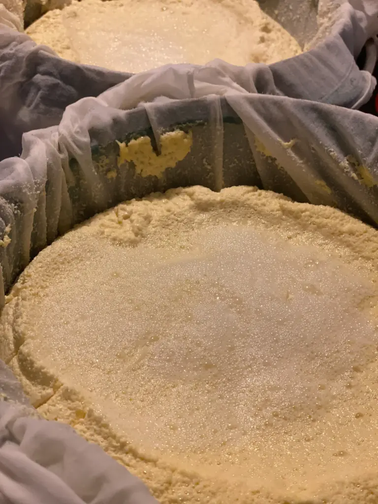 Ricotta 370g