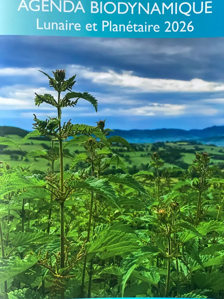 Calendrier Vincent Masson 2026 