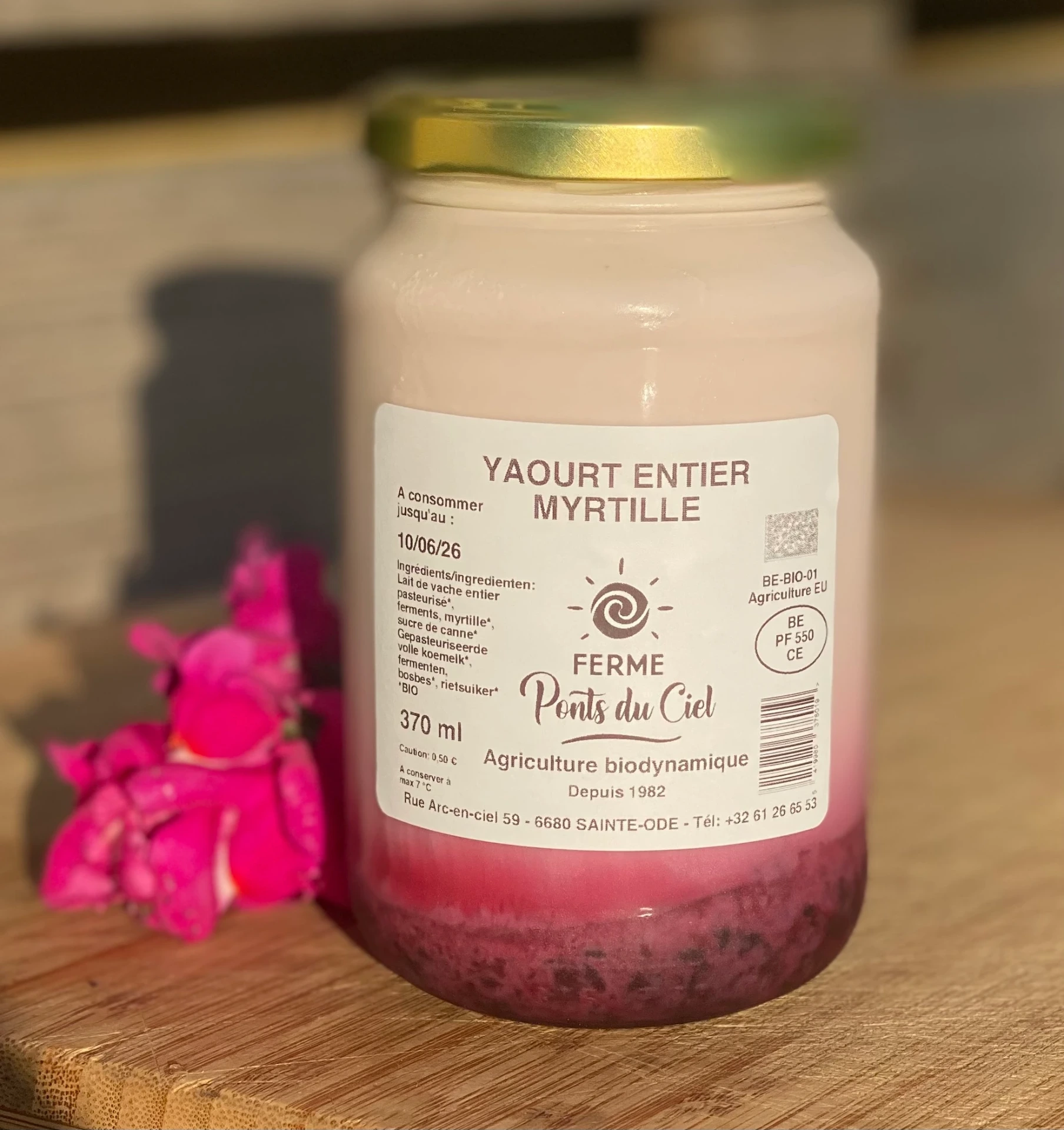 Yaourt entier myrtille 370 ml