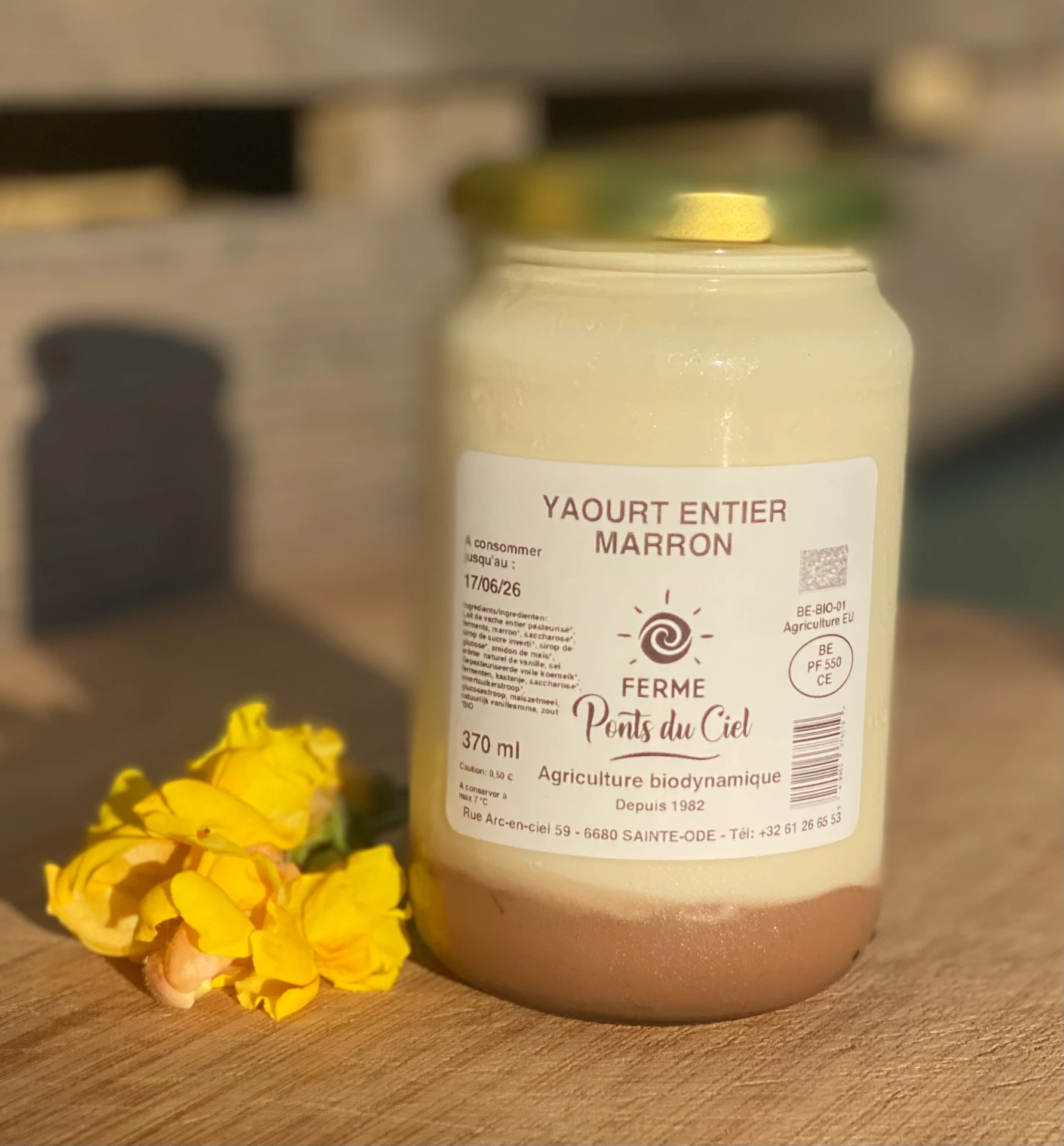 Yaourt entier marron 370 ml