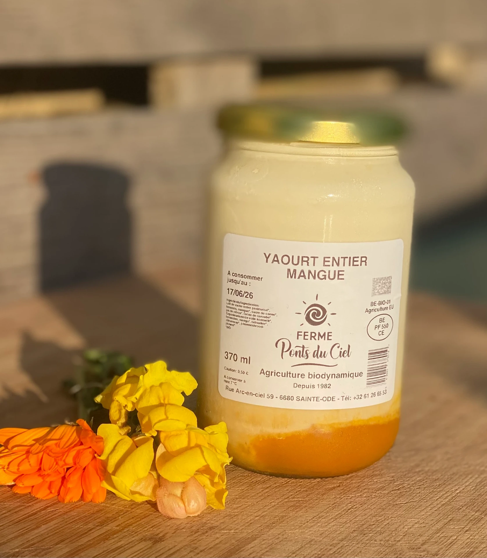 Yaourt entier mangue 370 ml