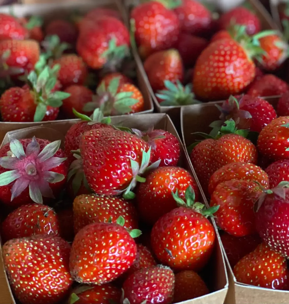 Fraises 250 g
